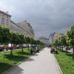 Кленова алея на проспекті Шевченка