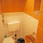 One room apartment A in Lviv